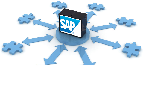 SAP Enterprise Resource Planning